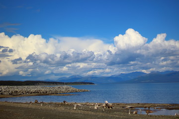 Fototapeta na wymiar Kluane lake in Yukon Canada