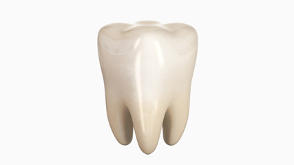 3D illustration of a tooth