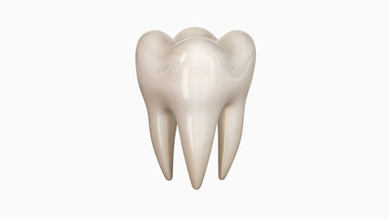 3D illustration of a tooth