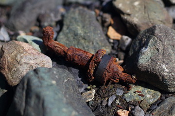 Rotten wood rotten parts on shore of lake, rocks in background