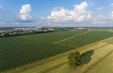 Fototapeta na wymiar Farm Land Aerial View