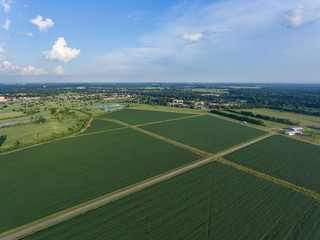 Farm Land Aerial View