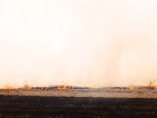 Fire and smoke in the field.