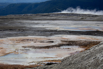 Hot spring in Yellowstone National Park