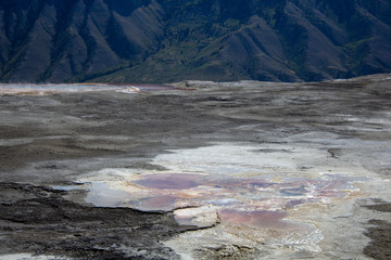Hot spring in Yellowstone National Park