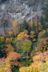 Great Smoky Mountain Fall Color