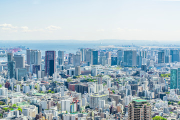 Fototapeta premium 春の東京風景 Tokyo city skyline , Japan