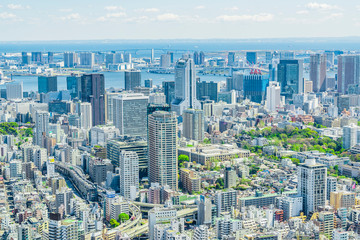 Fototapeta premium 春の東京風景 Tokyo city skyline , Japan