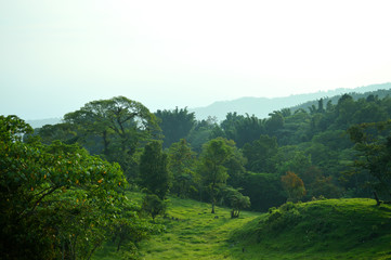 Fototapeta na wymiar landscape of mounts in rainforest
