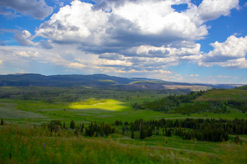 Fototapeta na wymiar Grassland landscape Wyoming in Yellowstone National Park in summer green grass and cloudy sky