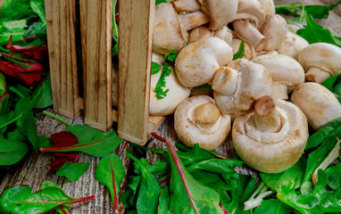 Champignon mushrooms, on a fresh salad leaves background