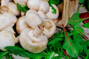 Basket salad with mushrooms, on rusty old background