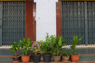 flowers in pots outside the front of the building