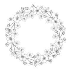 A wreath of flowers of apple.