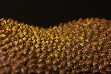 Jackfruit