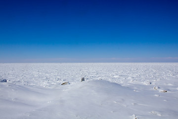 Lake view at frozen lake Lake Erie