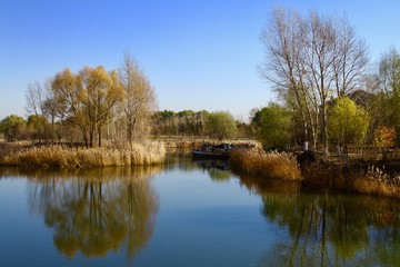 Fototapeta na wymiar Lake in the park. Late fall landscape in China