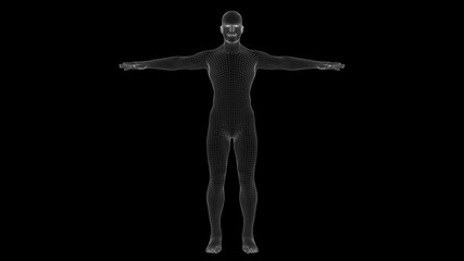 3d illustration of a man xray hologram