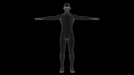 3d illustration of a man xray hologram