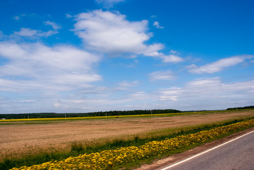 road in the field
