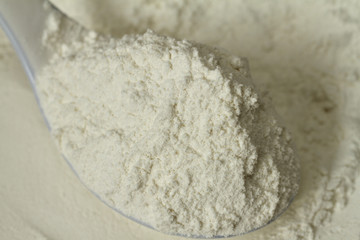 wheat flour in a spoon whole flour all purpose flour, close up