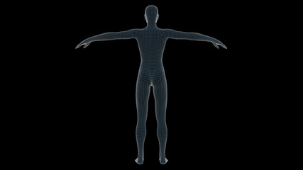 3d illustration of a woman xray hologram