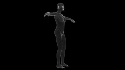 3d illustration of a woman xray hologram