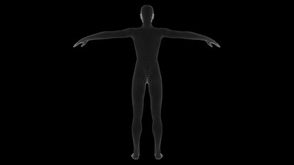 3d illustration of a woman xray hologram