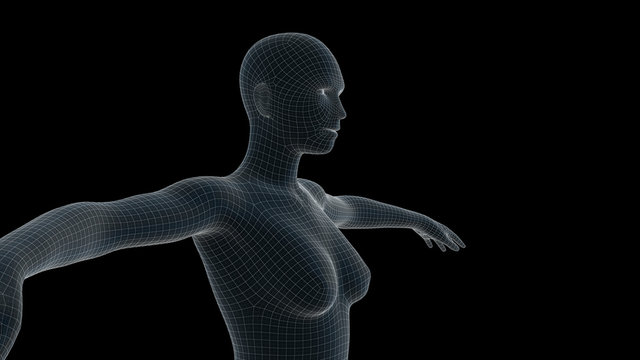 3d Illustration Of A Woman Xray Hologram