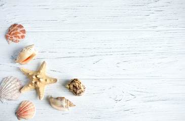 Wooden background white with shells. Frame with seashells on a white background. Sea background. Place for inscription