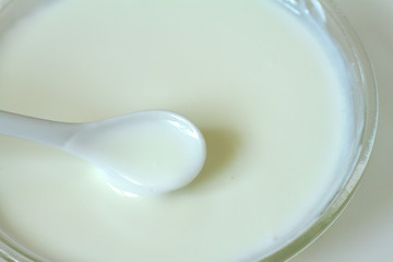 Fototapeta na wymiar Yogurt in a white bowl