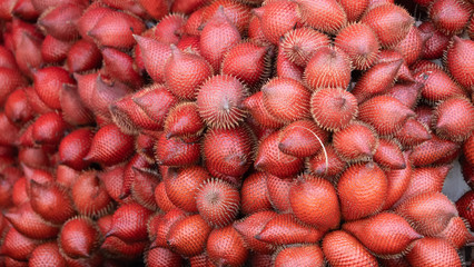Sweet Salacca zalacca tropical fruit planted in Thailand