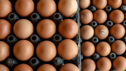 Eggs on panel plastic eggs, Eggs from chicken farm in the package that preserved for sale,Eggs in carton box