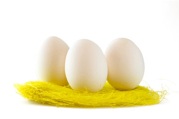 White eggs in bird nest , Easter holiday decorations , Easter concept background. Eggs hunt.