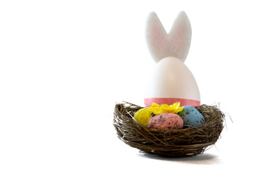 Easter scene with colored eggs, easter bunny,, white background
