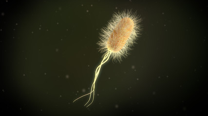 3D illustration of a escherichia coli bacteria
