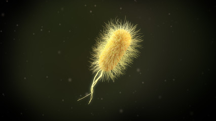 3D illustration of a escherichia coli bacteria