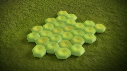 3D illustration of a acinetobacter baumannii bacteria