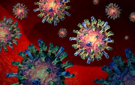 Measles Virus Cell