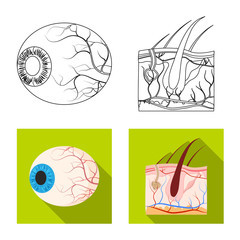 Isolated object of body and human logo. Collection of body and medical stock symbol for web.