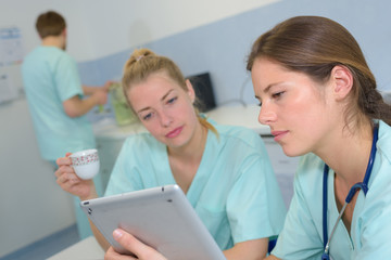female nurse vets checking tablet at lunch break