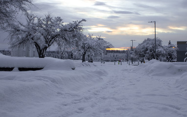 Obraz premium Sunset after winter storm blizzard. Snow covered campus at University of Alaska Fairbanks UAF