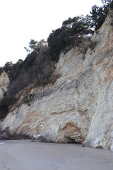 長浜海岸の海食崖