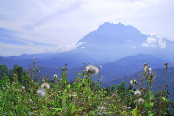 Mount Kinabalu is a mountain in Sabah, Malaysia. It is protected as Kinabalu Park, a World Heritage...