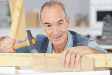 senior man carpenter holding a hammer