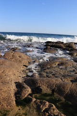 ささき浜（波打ち際）