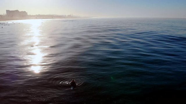 Lone sufer in sunrise silhouette waits for wave in Pacific Ocean at Huntington Beach California, 4k, drone