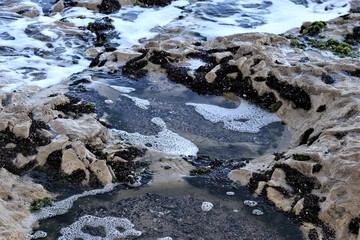 ささき浜（波打ち際）