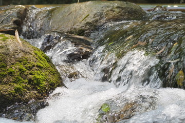 waterfall in the forest