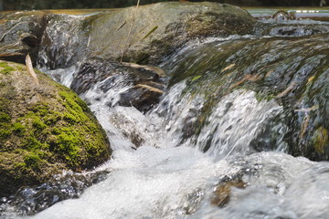 waterfall in forest